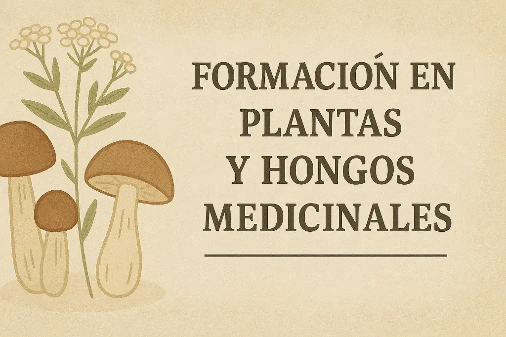 Formación en Plantas Medicinales
