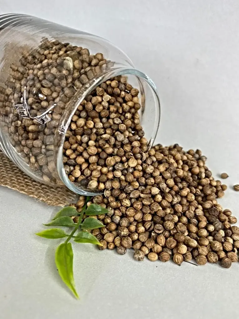 Semillas de Cilantro