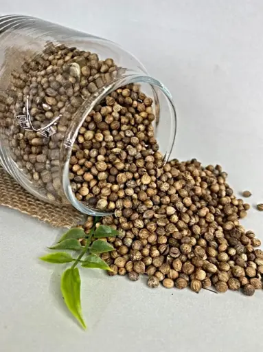 Semillas de Cilantro