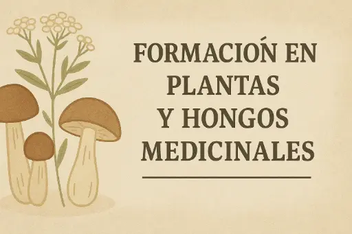 Formación en Plantas Medicinales