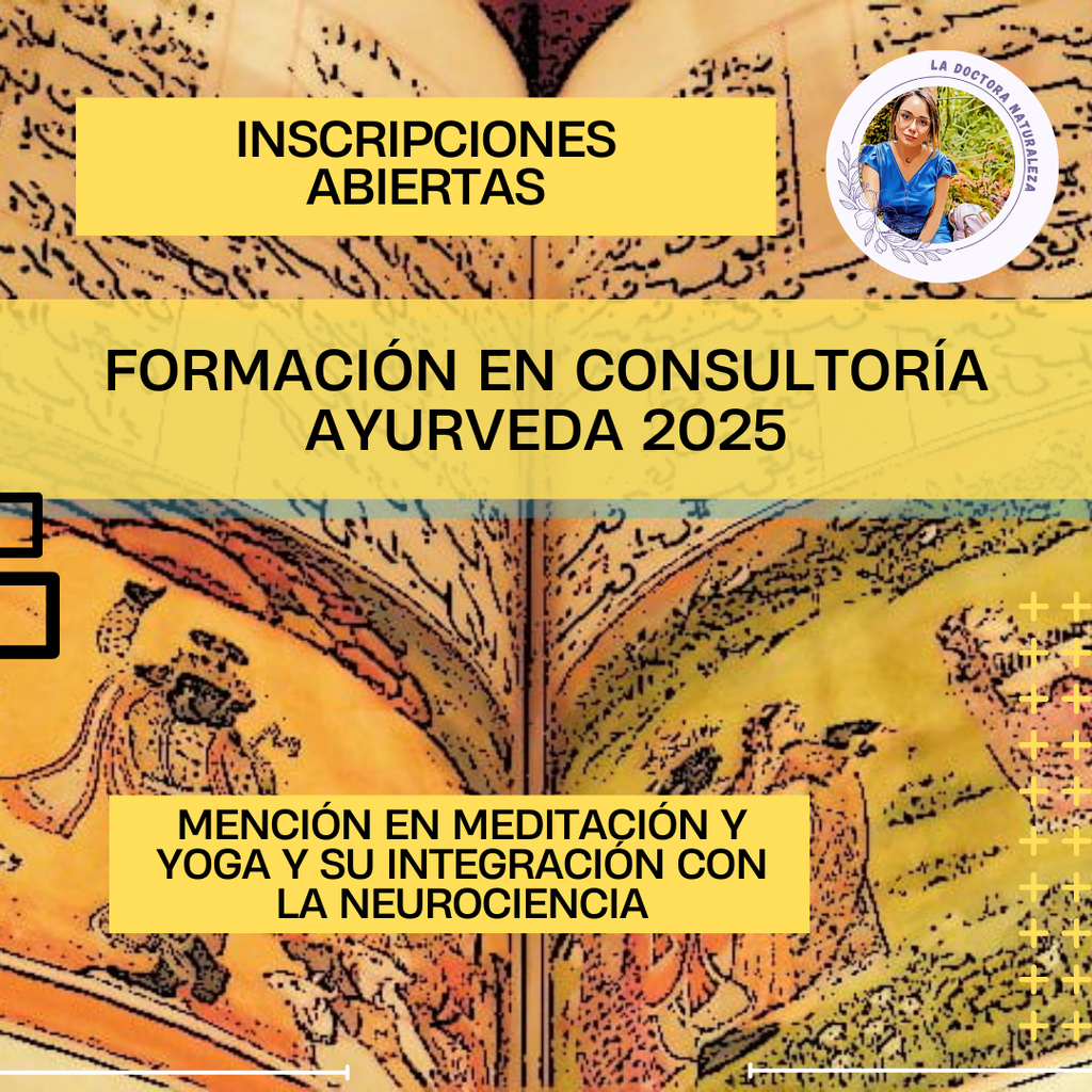 Consultoria Ayurveda 2025 Terminado